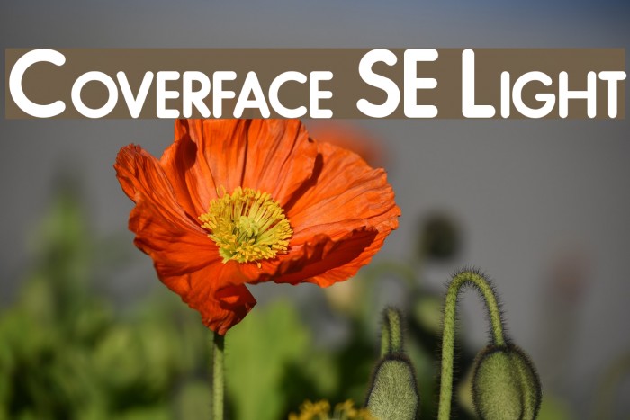 Coverface SE Light Font examples