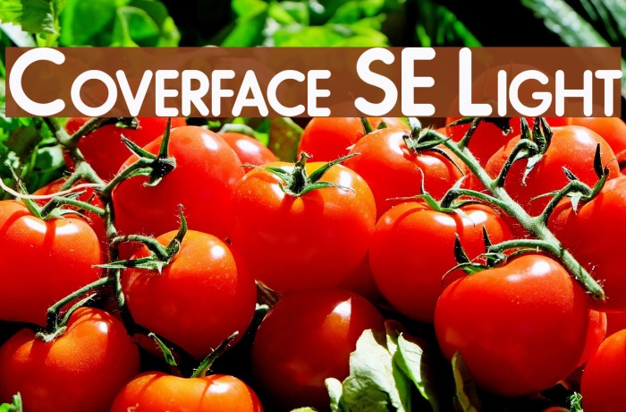 Coverface SE Light Font examples