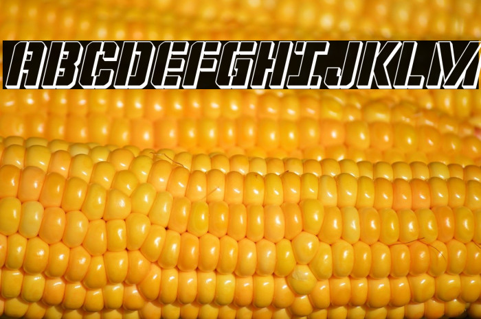 Covert Ops 3D Italic Example 1