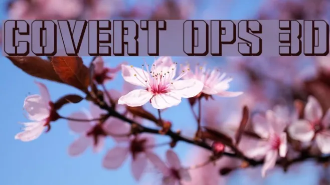 Covert Ops 3D Example 3