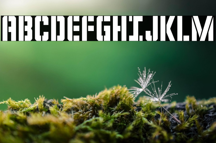 Covert Ops Condensed Example 2