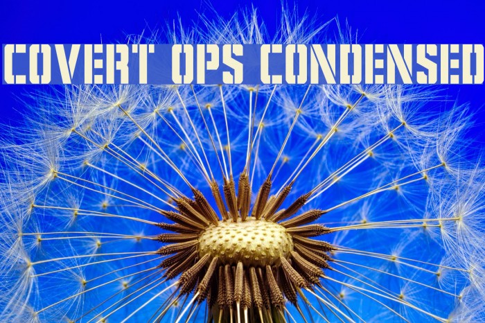 Covert Ops Condensed Example 1