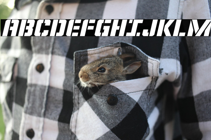 Covert Ops Expanded Italic Example 1