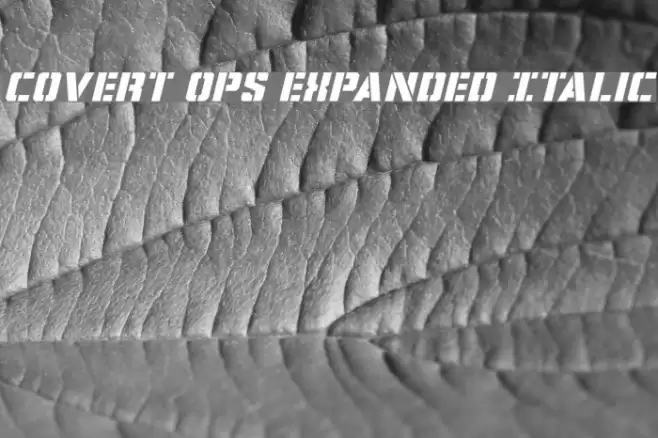 Covert Ops Expanded Italic Font examples