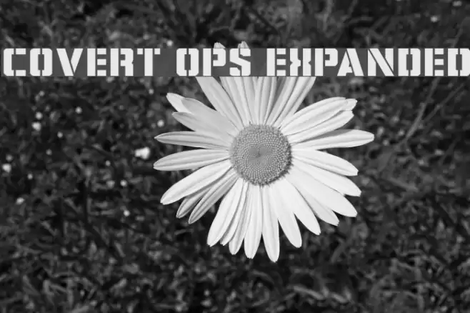 Covert Ops Expanded Font examples