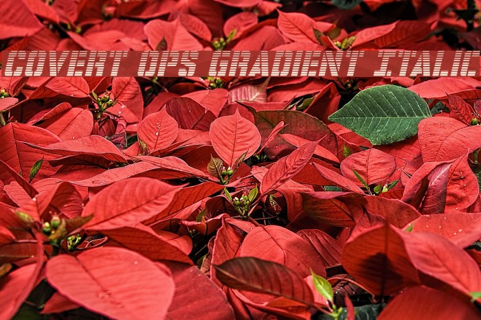 Covert Ops Gradient Italic Font examples