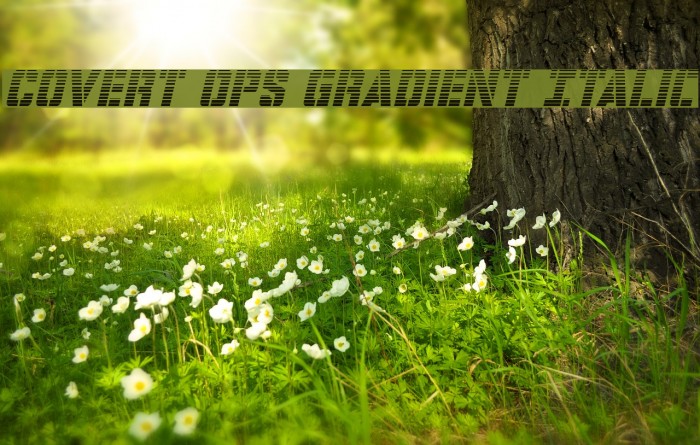 Covert Ops Gradient Italic Font examples