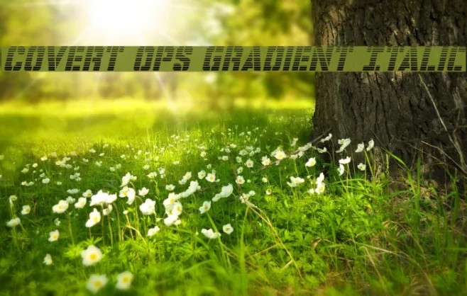 Covert Ops Gradient Italic Example 3