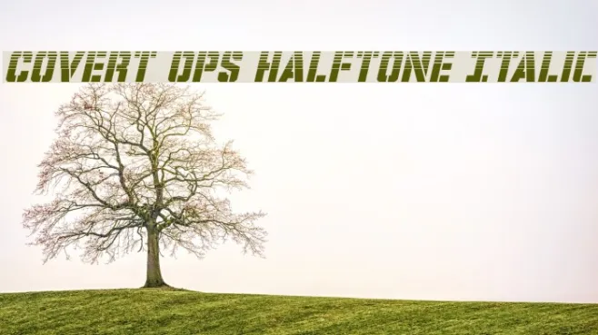 Covert Ops Halftone Italic Example 1