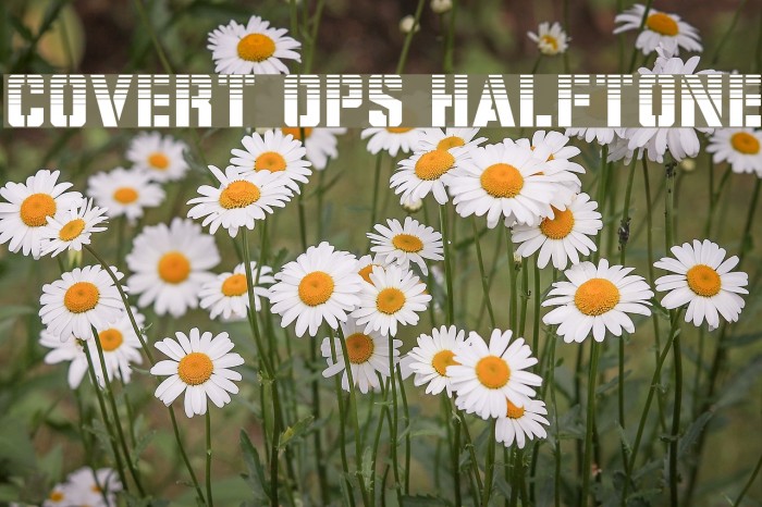 Covert Ops Halftone Example 3