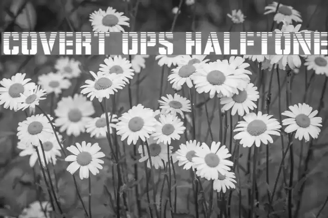 Covert Ops Halftone Font examples