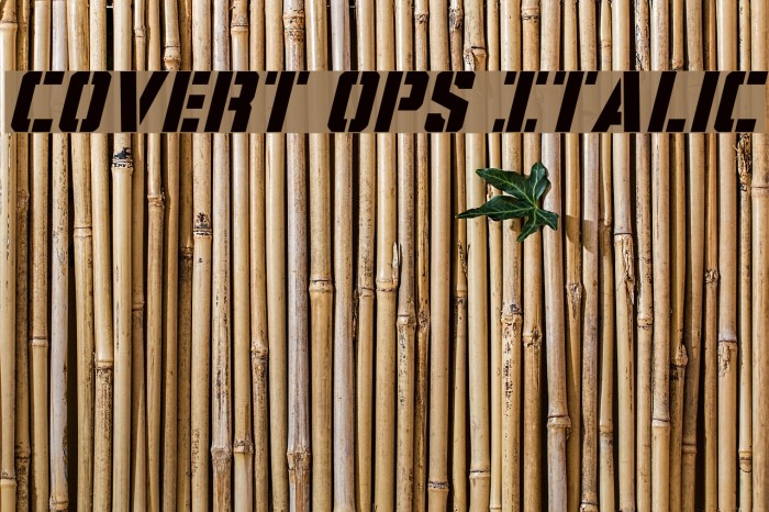 Covert Ops Italic Example 1