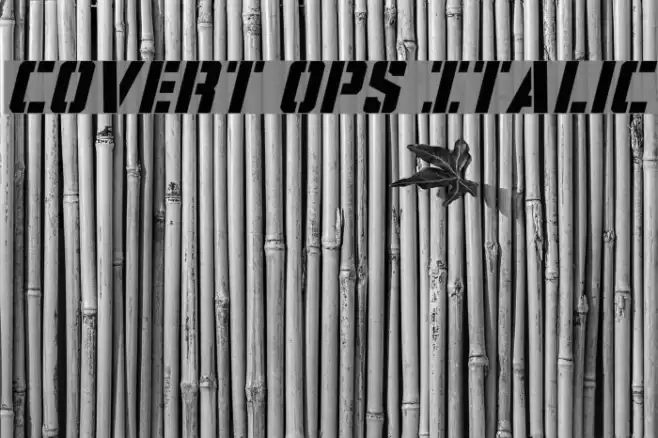 Covert Ops Italic Font examples