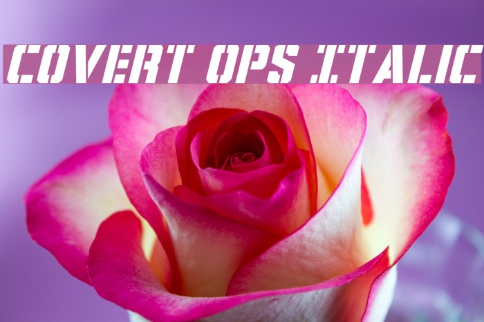 Covert Ops Italic Example 3