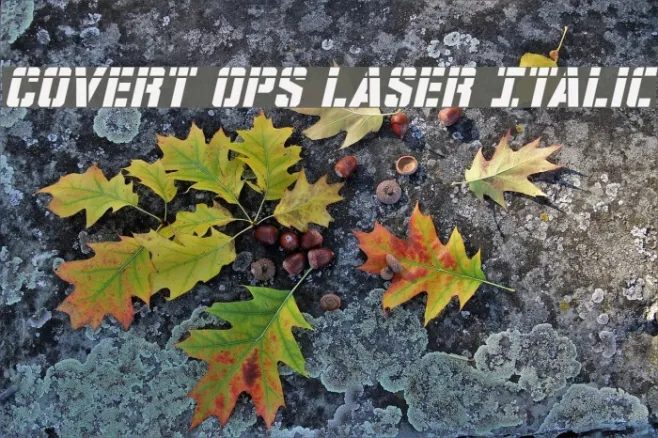 Covert Ops Laser Italic Example 2