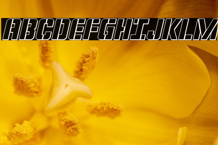 Covert Ops Outline Italic Example 3