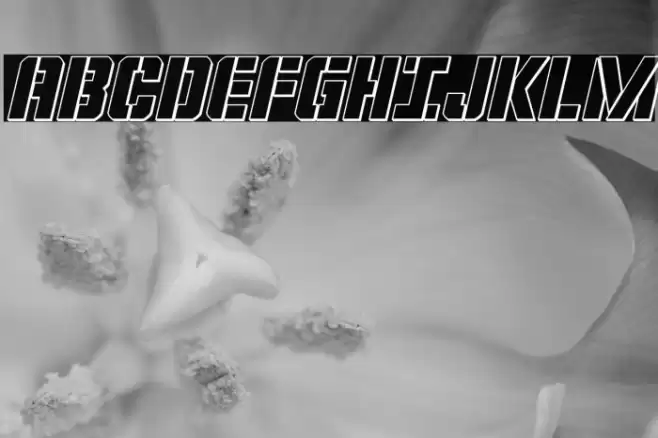 Covert Ops Outline Italic Font examples