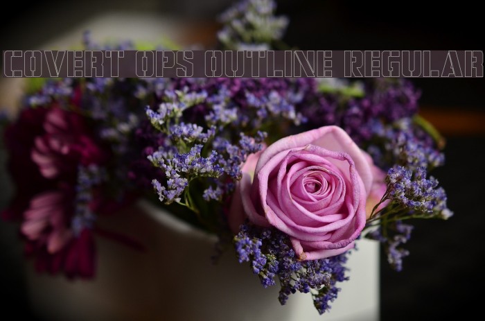 Covert Ops Outline Regular Example 1