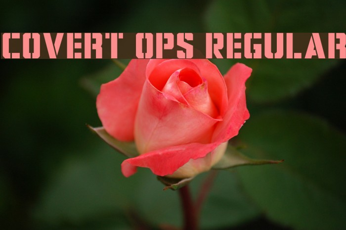 Covert Ops Regular Example 2