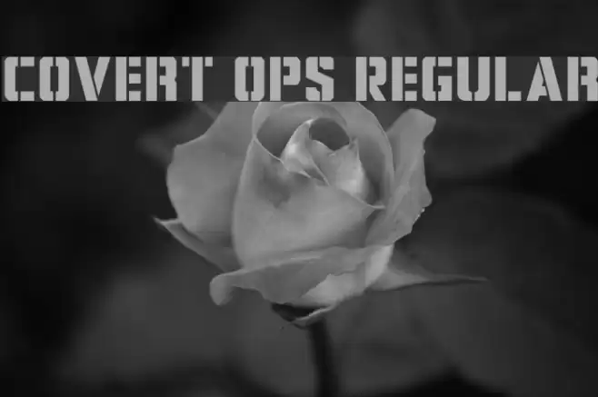 Covert Ops Regular Font examples