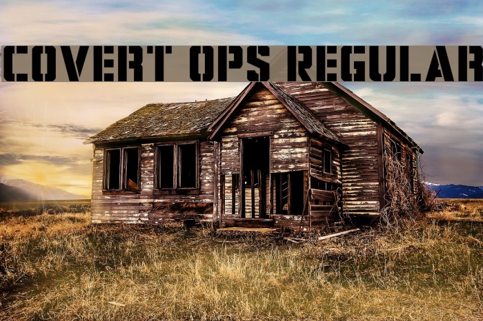 Covert Ops Regular Example 3