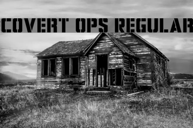 Covert Ops Regular Font examples