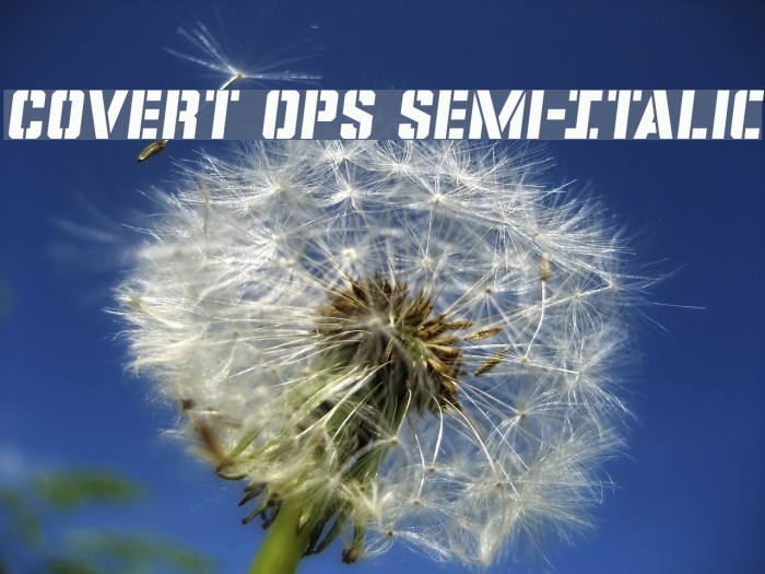 Covert Ops Semi-Italic Example 3