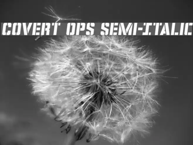 Covert Ops Semi-Italic Font examples