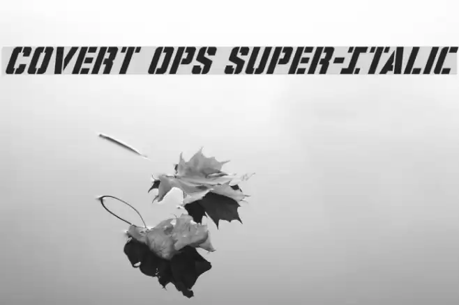 Covert Ops Super-Italic Font examples