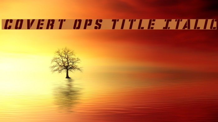 Covert Ops Title Italic Font examples