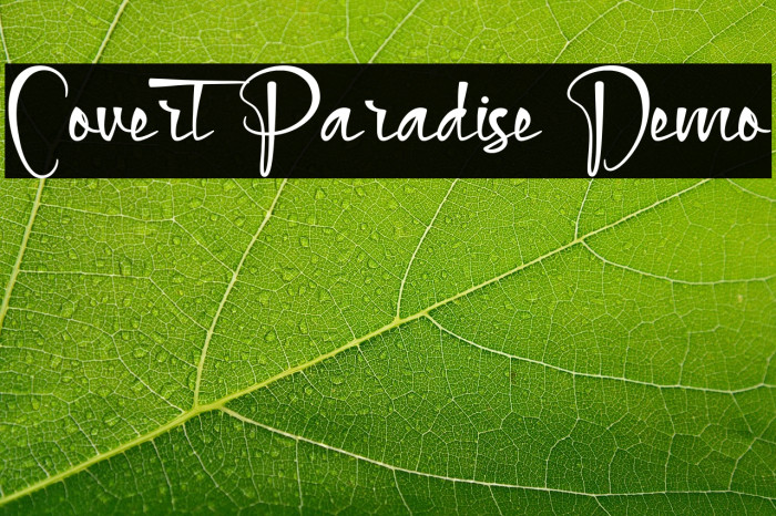 Covert Paradise Demo Example 1