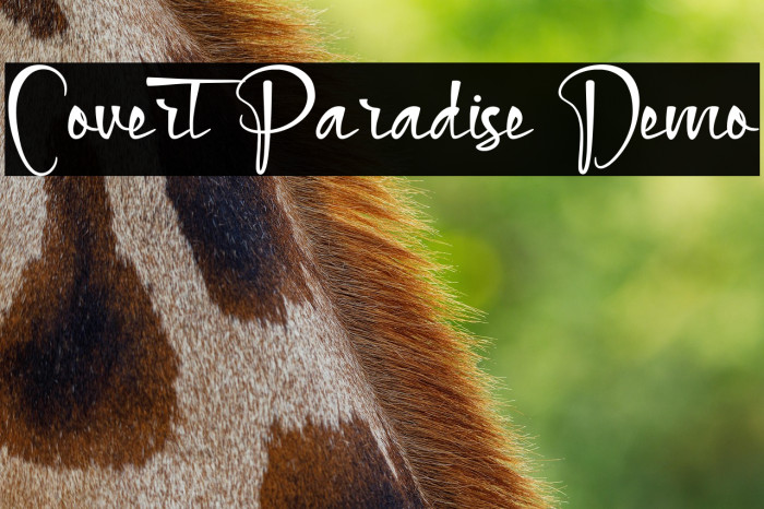 Covert Paradise Demo Example 3