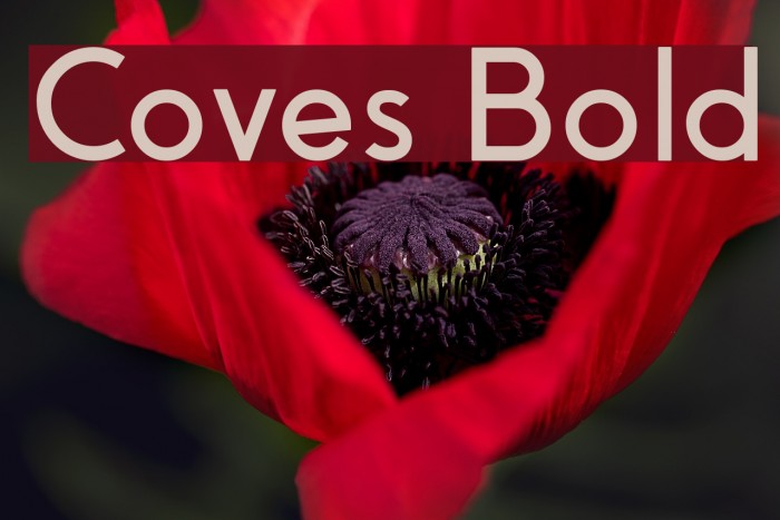Coves Bold Font examples