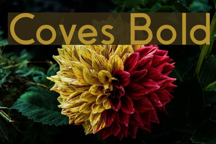 Coves Bold Font examples