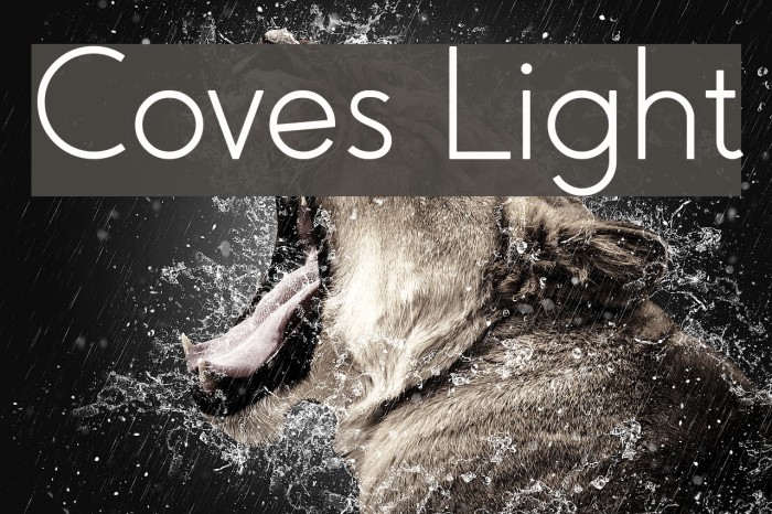 Coves Light Font examples
