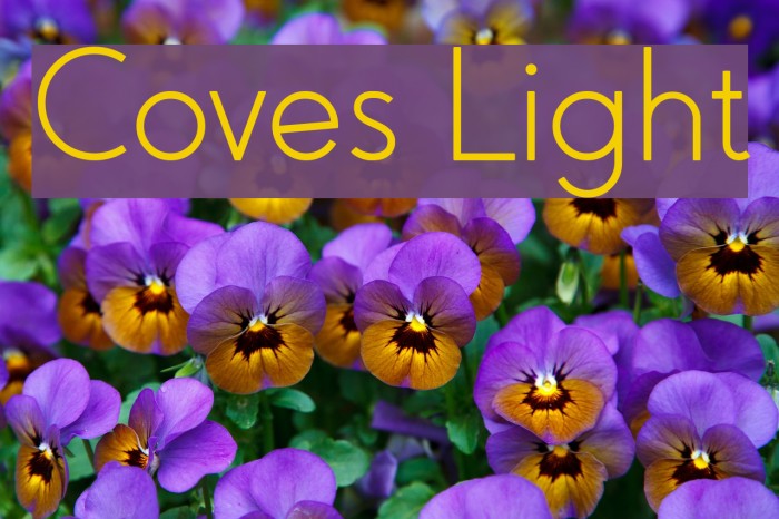 Coves Light Font examples