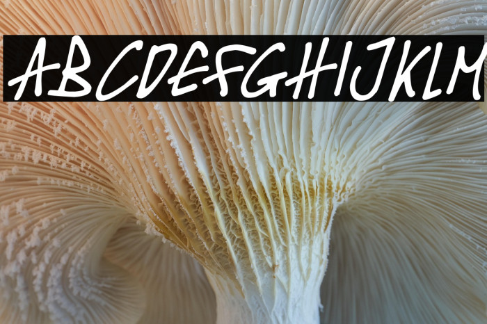 Covid-19 Contagion Italic Example 2