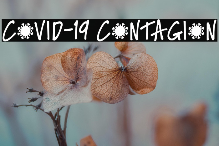 Covid-19 Contagion Example 1