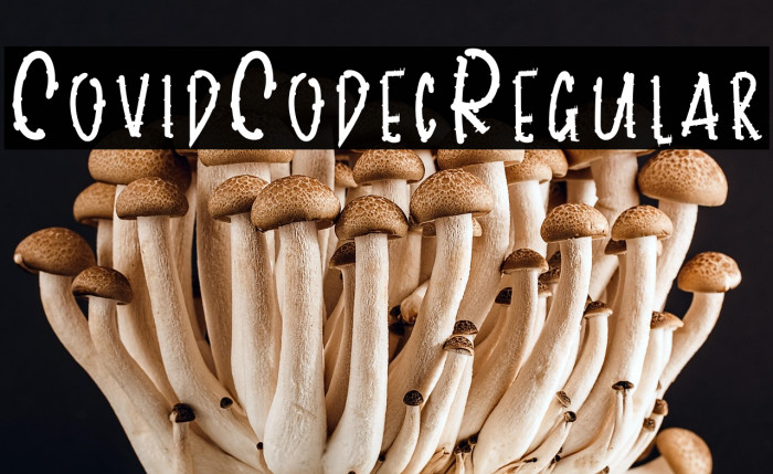 CovidCodecRegular Example 1