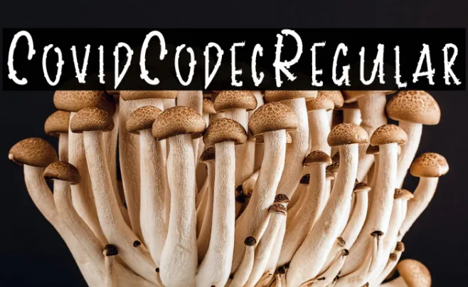 CovidCodecRegular Example 1