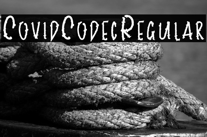 CovidCodecRegular Example 2