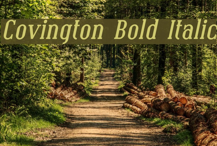 Covington Bold Italic Font examples