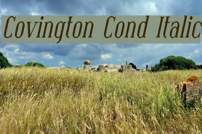 Covington Cond Italic Font examples