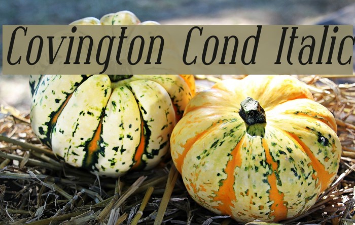 Covington Cond Italic Font examples