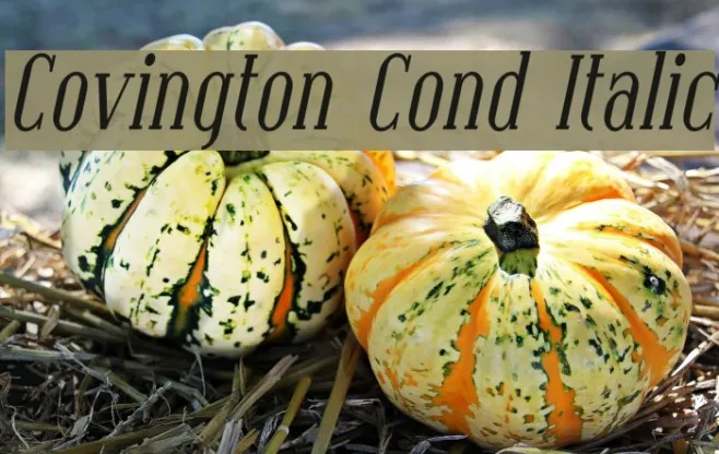 Covington Cond Italic Example 3