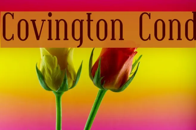 Covington Cond Example 3