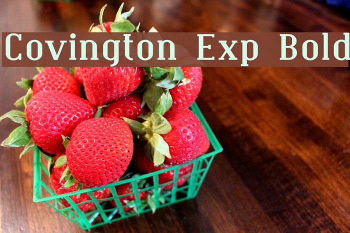 Covington Exp Bold Font examples