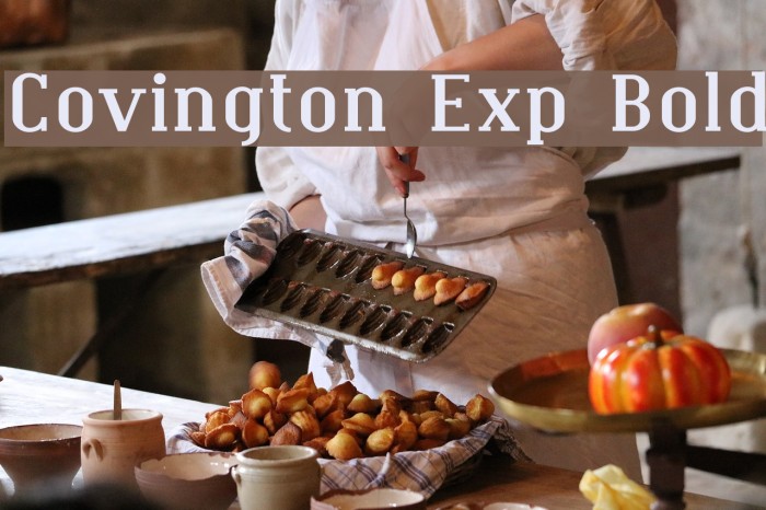 Covington Exp Bold Font examples
