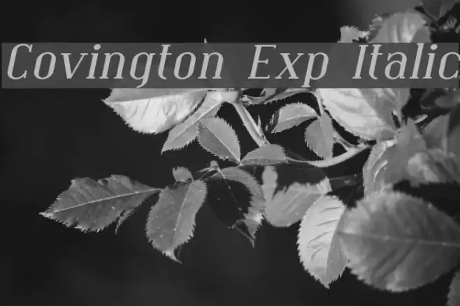 Covington Exp Italic फ़ॉन्ट examples