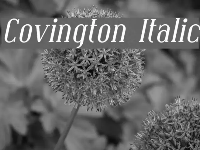 Covington Italic フォント examples